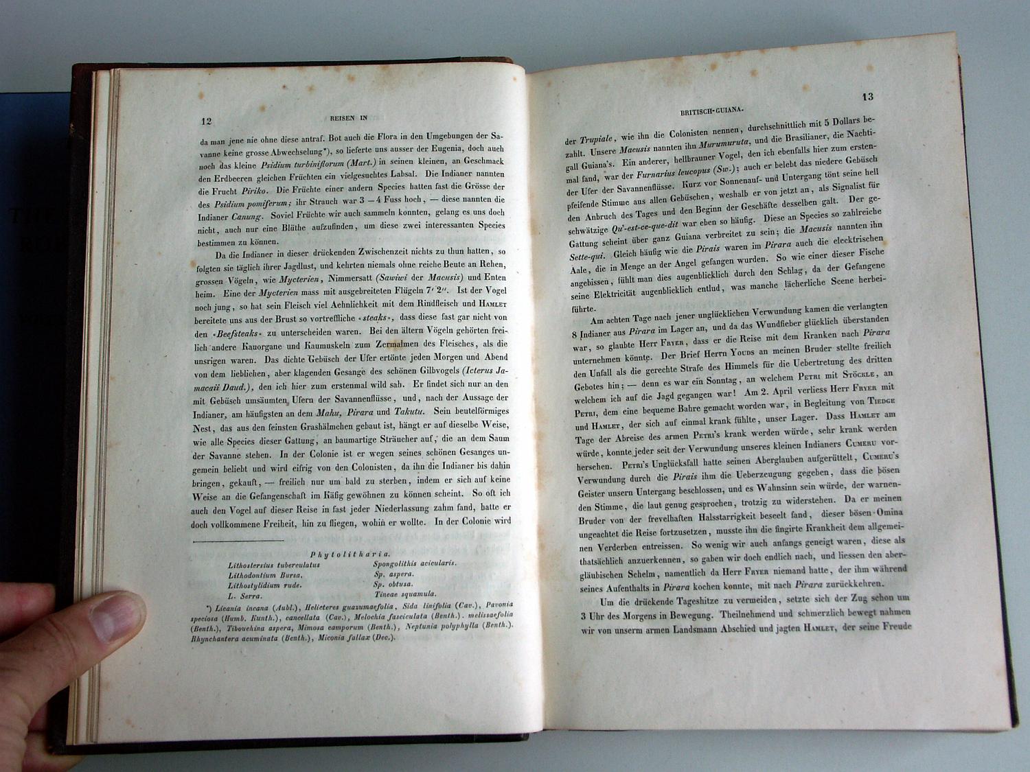 ZZ-RISC48,S.012 Fryer + Tiedke + Petri + Stöckle 2. April